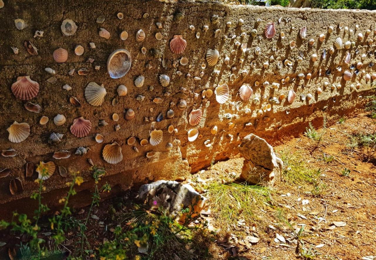 Apartmani Vrancic Mandre Dış mekan fotoğraf